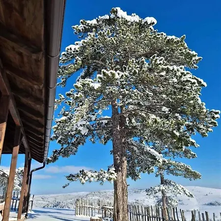 بيت للعطل Zlatiborski Katuni *