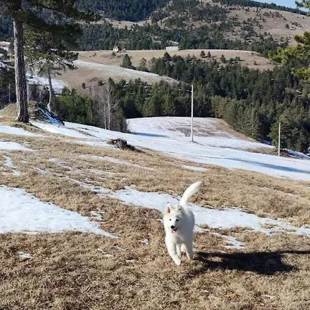 Case de vacanță Zlatiborski Katuni Zlatibor