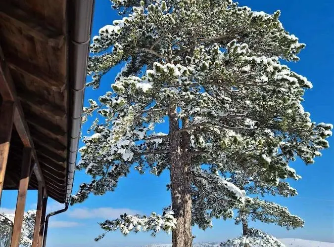 Holiday home Zlatiborski Katuni *